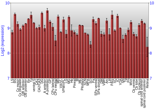 Expression graph