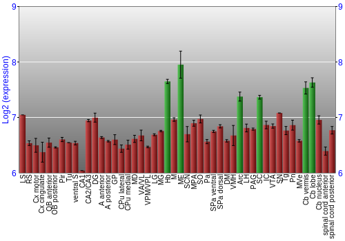 Multi-state expression graph