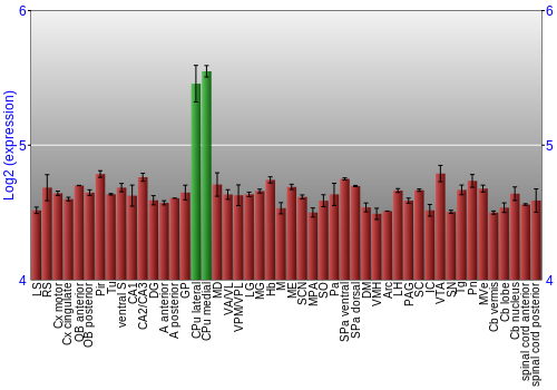 Multi-state expression graph