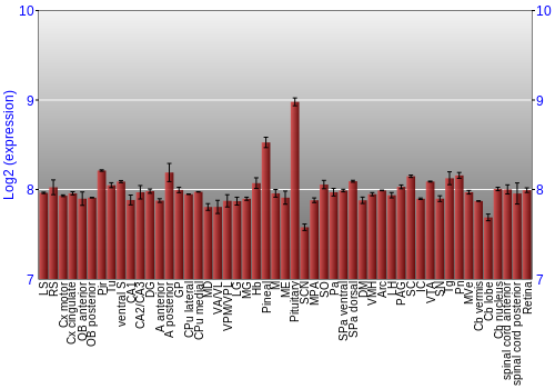Expression graph