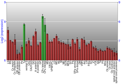 Multi-state expression graph