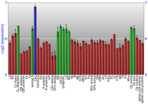 Multi-state expression graph
