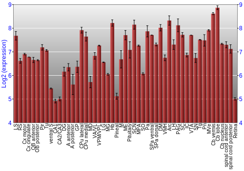 Expression graph