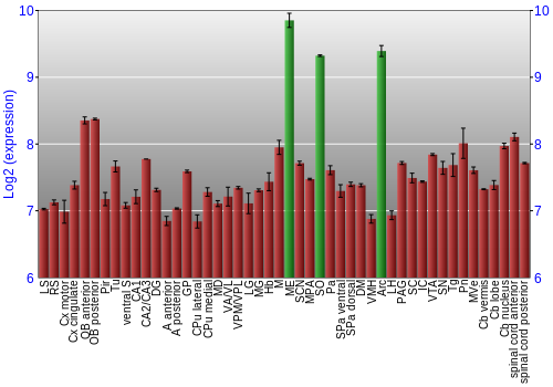 Multi-state expression graph