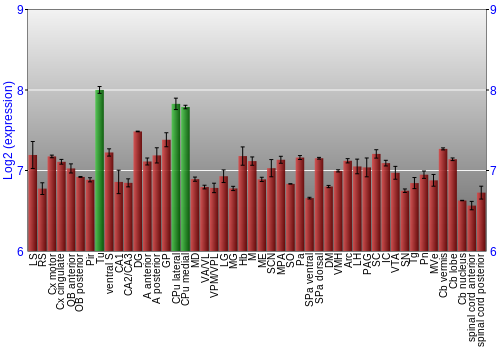 Multi-state expression graph