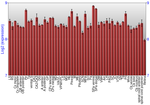 Expression graph