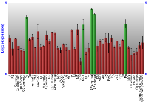 Multi-state expression graph