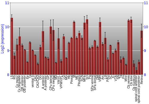 Expression graph