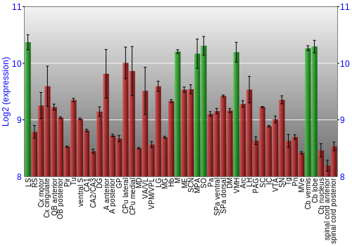 Multi-state expression graph