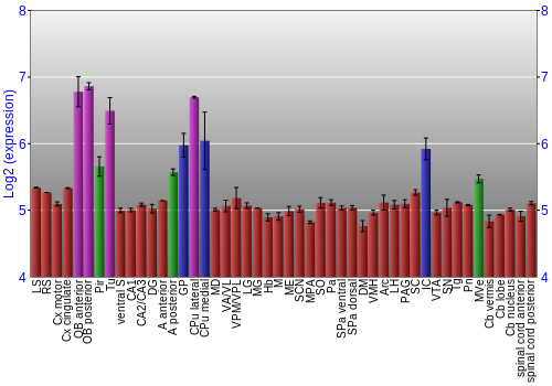 Multi-state expression graph