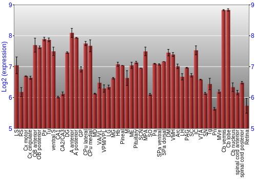 Expression graph