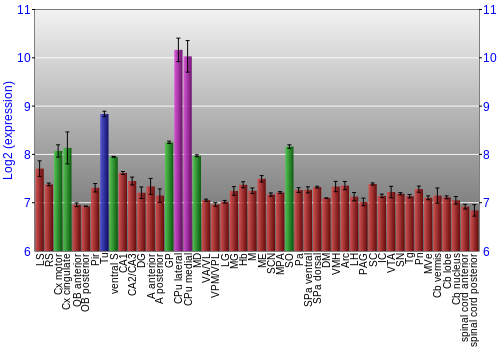 Multi-state expression graph