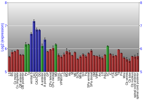 Multi-state expression graph