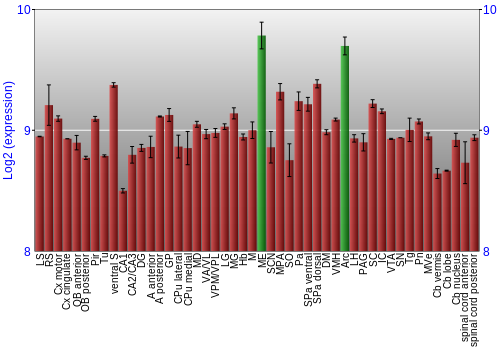 Multi-state expression graph