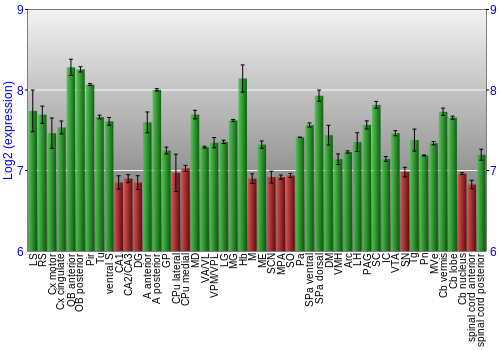 Multi-state expression graph