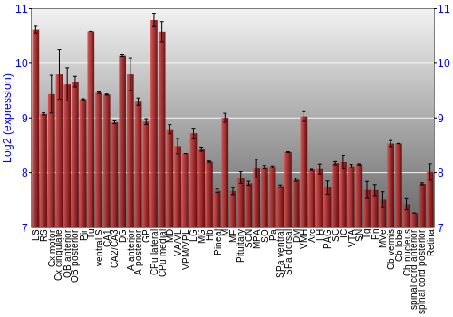 Expression graph