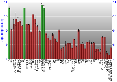 Multi-state expression graph