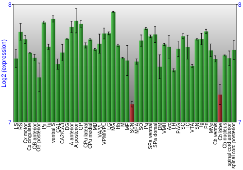 Multi-state expression graph