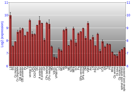 Multi-state expression graph