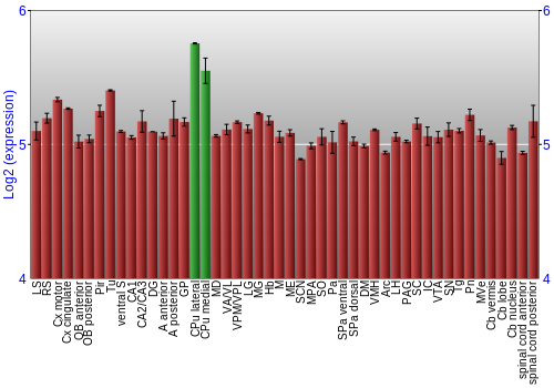 Multi-state expression graph