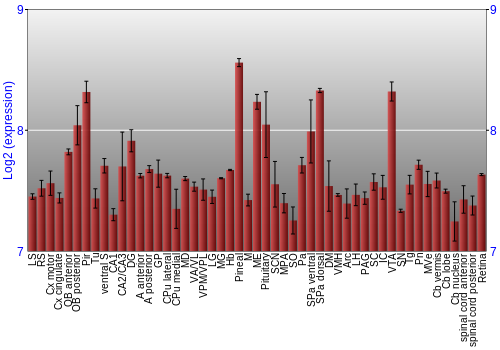 Expression graph