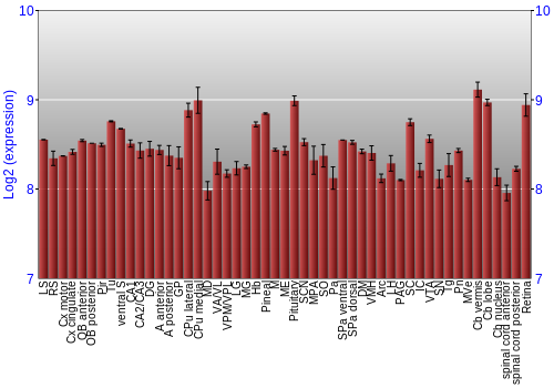 Expression graph