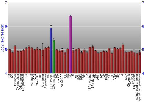 Multi-state expression graph