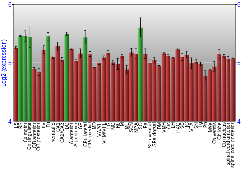 Multi-state expression graph