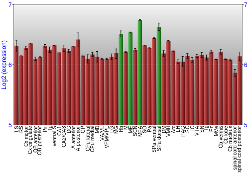 Multi-state expression graph