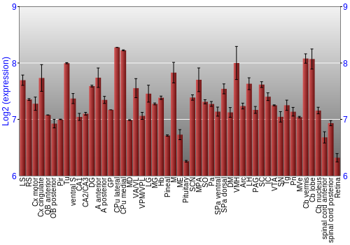 Expression graph