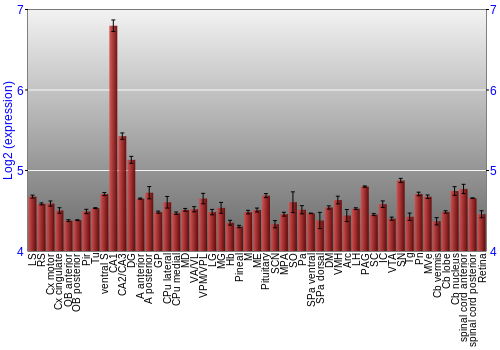 Expression graph