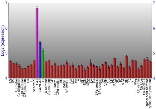 Multi-state expression graph