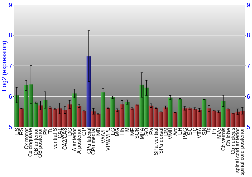 Multi-state expression graph