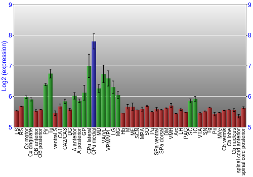 Multi-state expression graph