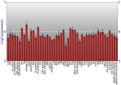 Multi-state expression graph