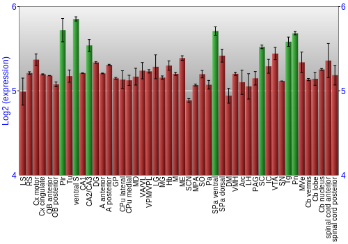 Multi-state expression graph