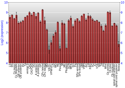 Expression graph