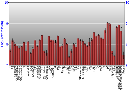 Expression graph