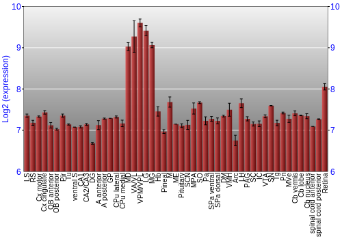 Expression graph