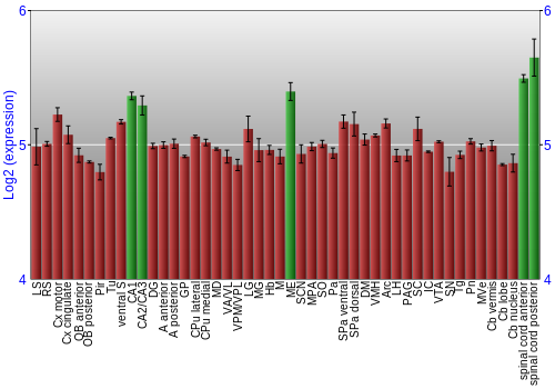 Multi-state expression graph