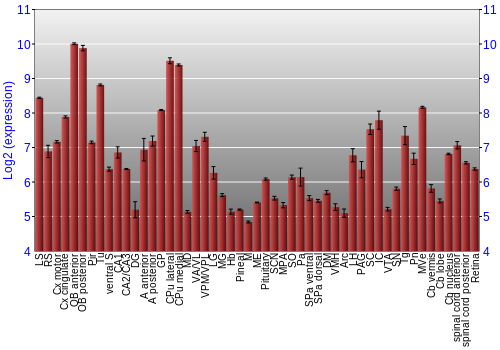 Expression graph