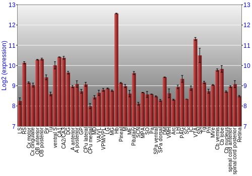 Expression graph