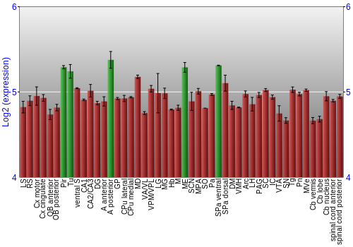 Multi-state expression graph