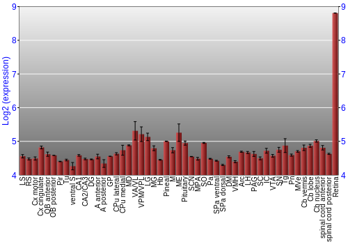 Expression graph