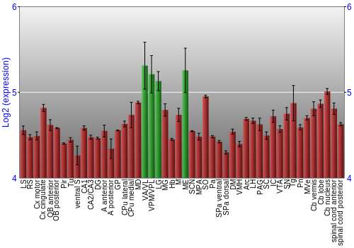Multi-state expression graph