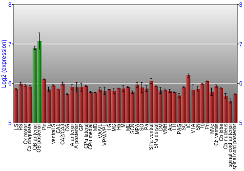 Multi-state expression graph
