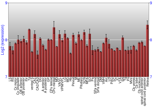 Expression graph