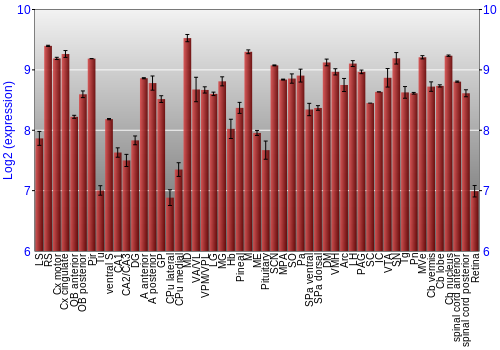 Expression graph