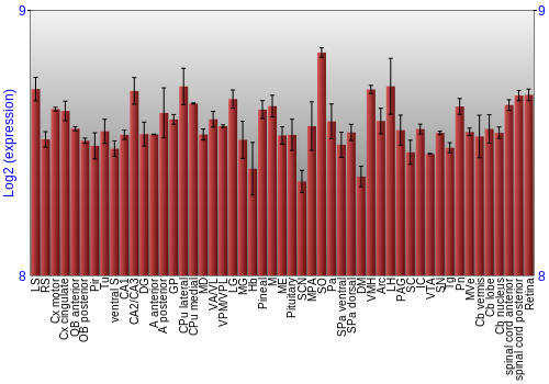 Expression graph