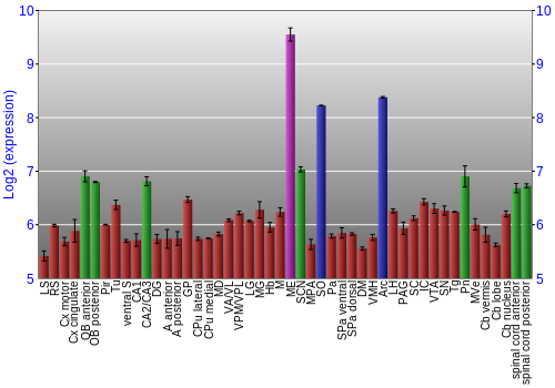 Multi-state expression graph